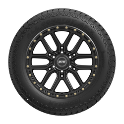 LT275/70R18/10 125/122S IRON ALL COUNTRY AT-X 3PMS BW